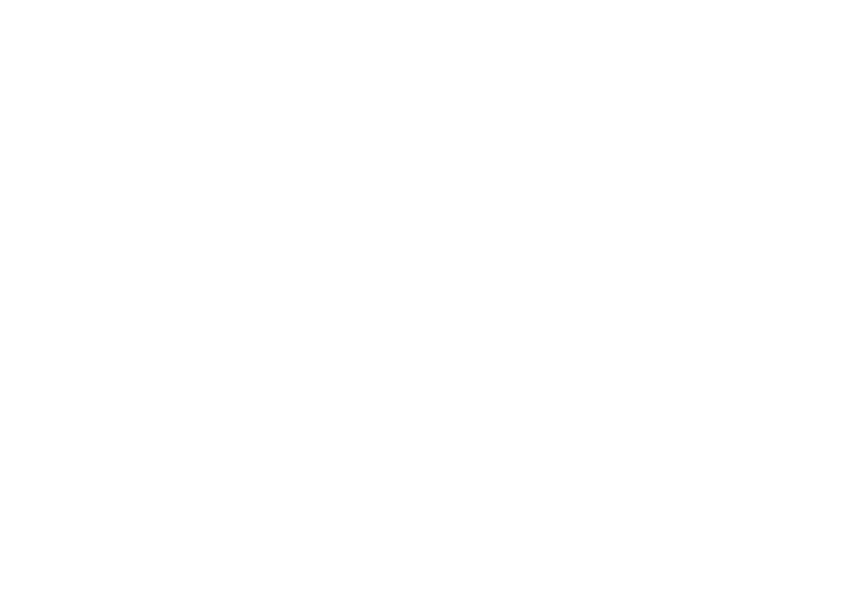light logo